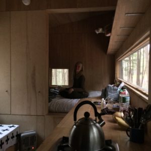 Barb Tiny House